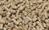 Scaldiamo la nostra casa con la legna o con il pellet in modo confortevole ed efficiente Scaldiamo la nostra casa con la legna o con il pellet in modo confortevole ed efficiente
