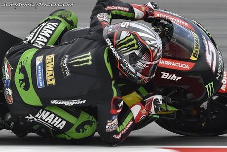 Shark J.Zarco Sepang 2017 by Virus Graphics - painted by Création JPH Shark J.Zarco Sepang 2017 by Virus Graphics - painted by Création JPH