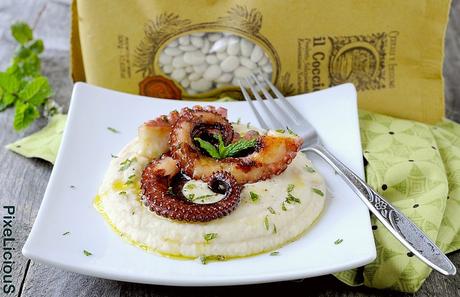 Polpo Arrostito su Crema di Fagioli Piattelline e Olio alla Menta Polpo Arrostito su Crema di Fagioli Piattelline e Olio alla Menta
