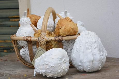 #fioridivenerdì – – – – – zucche decorative dipinte di bianco #fioridivenerdì – – – – – zucche decorative dipinte di bianco