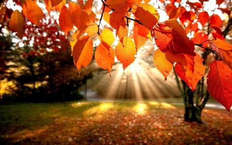 Autunno in Irlanda http://www.lostivalepensante.it/wp-content/uploads/autunno1.jpg