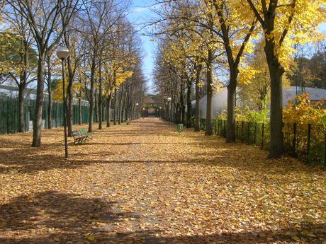 Autunno in Irlanda http://www.iz4bqv.it/boxcirc/viale.jpg