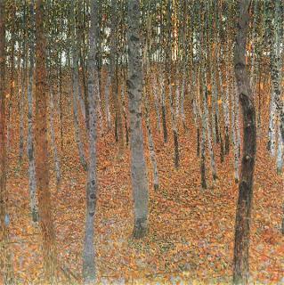 Beech Grove:quando l'arte e la natura danno vita ad un trend vincente! Beech Grove:quando l'arte e la natura danno vita ad un trend vincente!