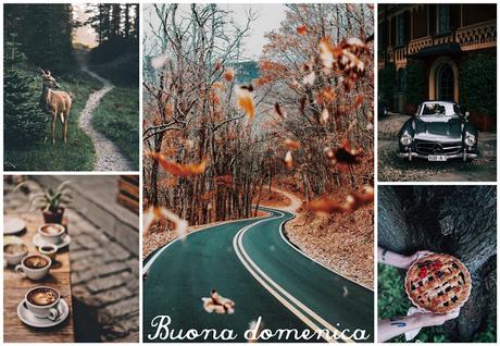 Happy Sunday #buonadomenica Happy Sunday #buonadomenica