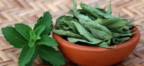 L'importanza della Stevia per prevenire il Diabete e altri 8 importanti articoli... L'importanza della Stevia per prevenire il Diabete e altri 8 importanti articoli...