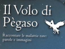 Prorogato al 18 novembre 2017 il bando gratuito del festival “Uno sguardo raro” Prorogato al 18 novembre 2017 il bando gratuito del festival “Uno sguardo raro”