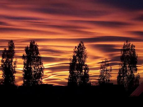 Tutti lì, a guardare il cielo. Cavenago di Brianza - Tramonto