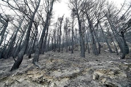 IL NORD IN FIAMME IL NORD IN FIAMME