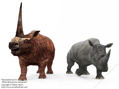 10 animali terrificanti del Pleistocene Elasmotherium paragonato ad un rinoceronte moderno
