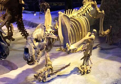 10 animali terrificanti del Pleistocene Xenosmilus hodsonae