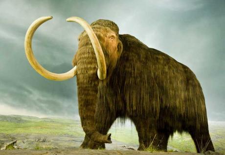 10 animali terrificanti del Pleistocene Mammuthus primigenius