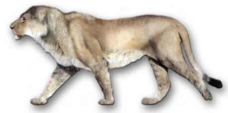 10 animali terrificanti del Pleistocene Panthera leo atrox