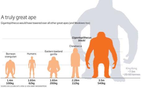 10 animali terrificanti del Pleistocene Gigantopithecus
