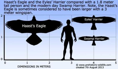 10 animali terrificanti del Pleistocene Aquila di Haast