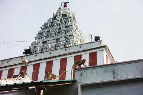 Vedagiriswarar Temple a Thirukazhukundram: dintorni di Mamallapuram Vedagiriswarar Temple Thirukazhukundram Mamallapuram