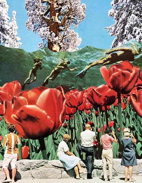 ARTE: Gli opposti nei collage di Jake Lee ARTE: Gli opposti nei collage di Jake Lee