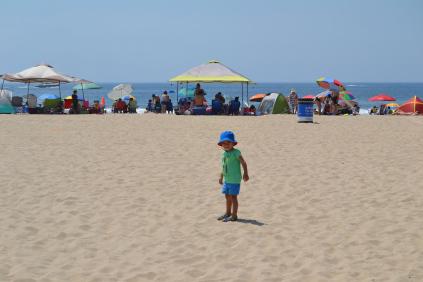 DSC_0773 DSC_0773