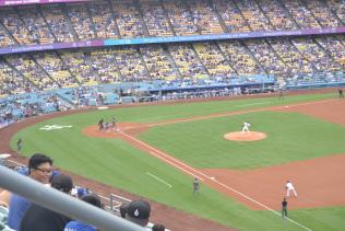DSC_0977 DSC_0977