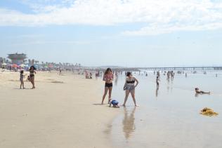 DSC_0791 DSC_0791