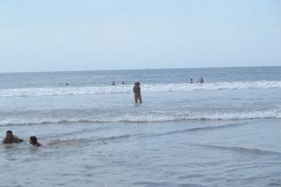 DSC_0795 DSC_0795