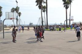 DSC_0803 DSC_0803