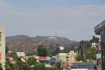 DSC_0894 DSC_0894
