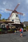 DSC_0745 DSC_0745