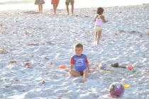 DSC_0672 DSC_0672