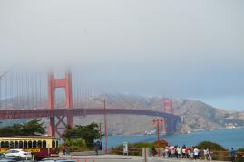 DSC_0242 DSC_0242
