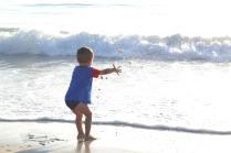 DSC_0647 DSC_0647
