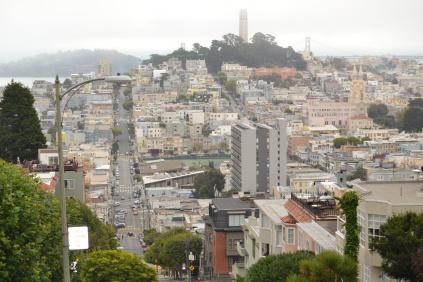 DSC_0438 DSC_0438