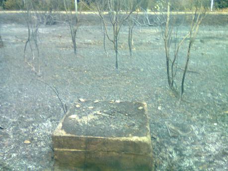 Aschenbahn▐ Aschenbahn▐