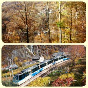 Il treno del foliage: alla scoperta dei colori autunnali Il treno del foliage: alla scoperta dei colori autunnali