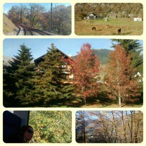 Il treno del foliage: alla scoperta dei colori autunnali Il treno del foliage: alla scoperta dei colori autunnali