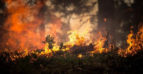 Emergenza incendi: nuove tecnologie dal Politecnico in supporto della Protezione Civile Emergenza incendi: nuove tecnologie dal Politecnico in supporto della Protezione Civile