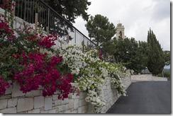 lemesos_agios_mamas_church_DSC_0988_Romos_Kotsonis lemesos_agios_mamas_church_DSC_0988_Romos_Kotsonis