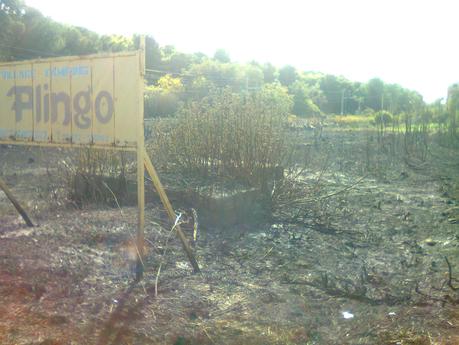 Aschenbahn 3▐ L'Habitat del poeta Aschenbahn 3▐ L'Habitat del poeta
