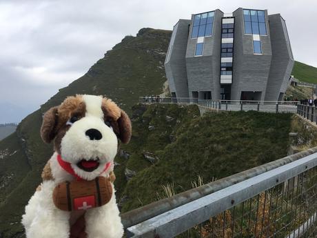 Monte Generoso, un balcone tra Italia e Svizzera Fiore di Pietra
