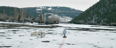 Wind River Wind River