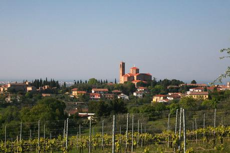 Emilia Romagna: Coriano inaugurati cantina, punto vendita e sala degustazione per enoturisti italiani e stranieri Emilia Romagna: Coriano inaugurati cantina, punto vendita e sala degustazione per enoturisti italiani e stranieri