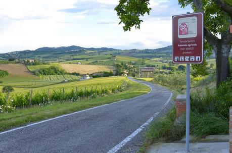 Emilia Romagna: Coriano inaugurati cantina, punto vendita e sala degustazione per enoturisti italiani e stranieri Emilia Romagna: Coriano inaugurati cantina, punto vendita e sala degustazione per enoturisti italiani e stranieri