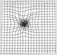 La visione distorta delle cose La visione distorta delle cose