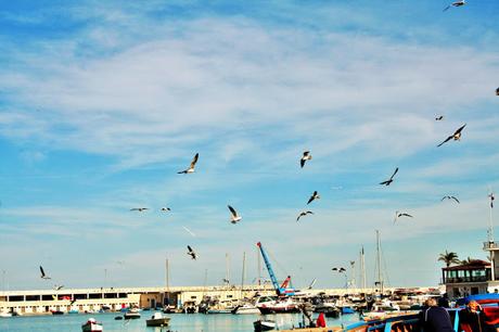 Porto di Bari www.travelnelmondo.blogspot.it mare, gabbiani, porto, cielo, nuvole