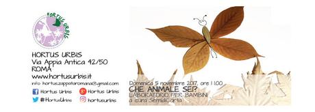 Che animale sei? Che animale sei?