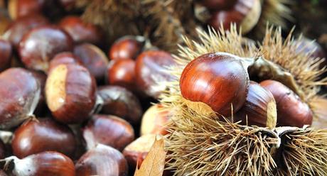 Il Treno storico delle Castagne e la Sagra a Montella (AV) Il Treno storico delle Castagne e la Sagra a Montella (AV)
