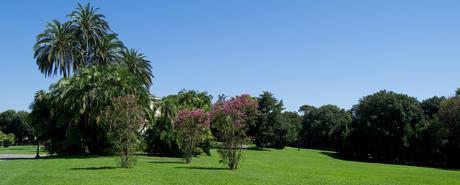 Rassegna di Film gratuiti al Museo di Capodimonte Rassegna di Film gratuiti al Museo di Capodimonte