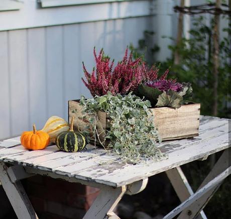 Nordic Style per una bellissima casa svedese L'immagine può contenere: pianta, fiore e tabella