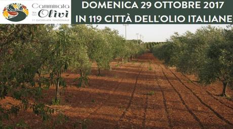 Prima giornata nazionale Camminata fra gli Olivi Prima giornata nazionale Camminata fra gli Olivi