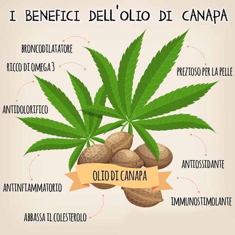 Shampoo alla Canapa: Benefici per cute e capelli Shampoo alla Canapa: Benefici per cute e capelli