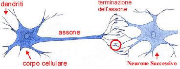 Novità su Alzheimer: si può prevenire e perfino far regredire Novità su Alzheimer: si può prevenire e perfino far regredire